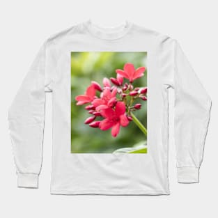 Phu Quoc Flora Long Sleeve T-Shirt